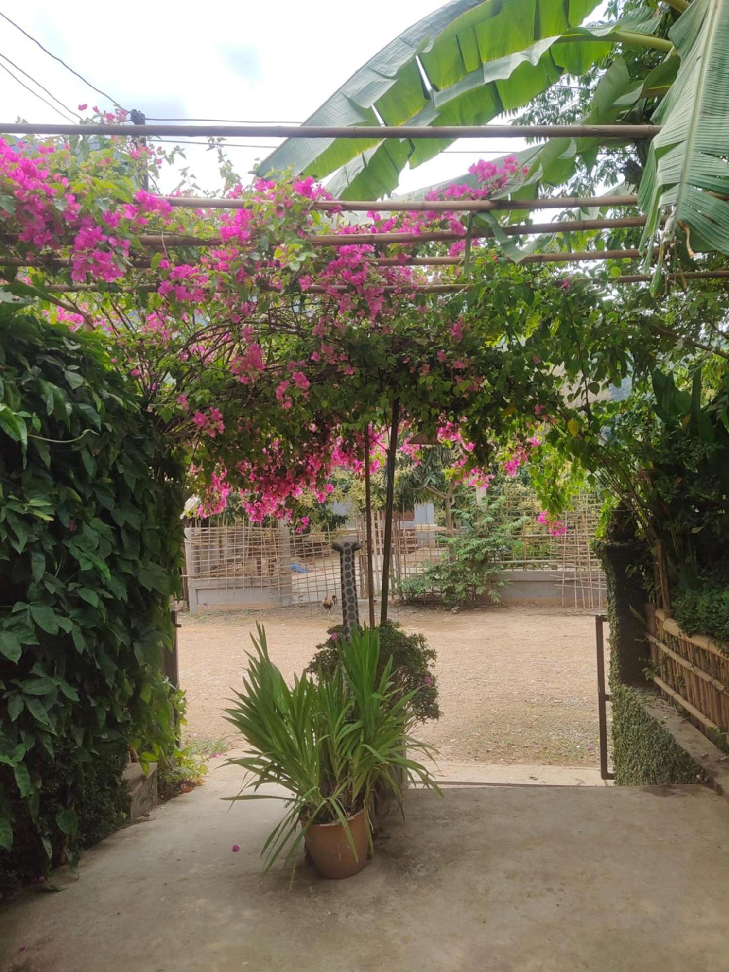 Meexok Guesthouse Nongkhiaw 外观 照片