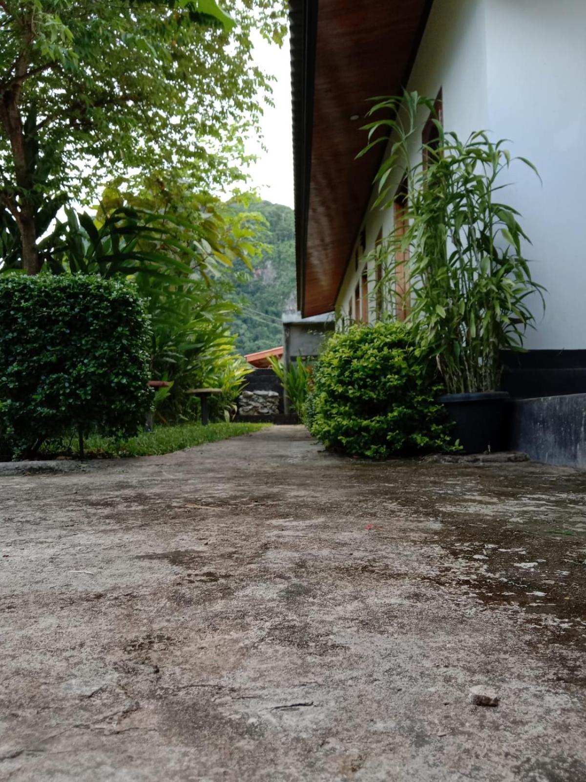 Meexok Guesthouse Nongkhiaw 外观 照片